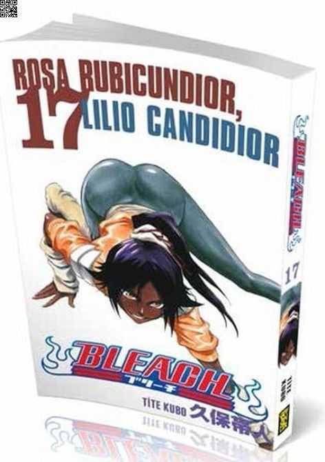 Bleach Cilt 17 | Gerekli Şeyler | Tite Kubo |  |  |  |  | 9786059141475