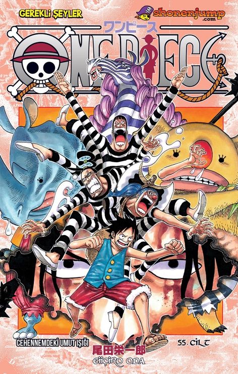 One Piece Cilt 55 - Cehennemdeki Umut Işığı | Gerekli Şeyler | Eiiçiro Oda |  |  |  |  | 9786256031791