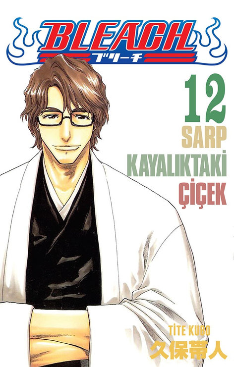 Bleach Cilt 12